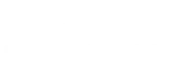 Logo basic white